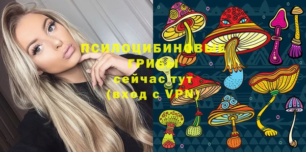 МДПВ Ельня