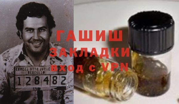 крисы Тында