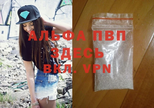 МДПВ Ельня