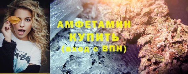 МДПВ Ельня