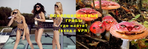 круглые Елизово