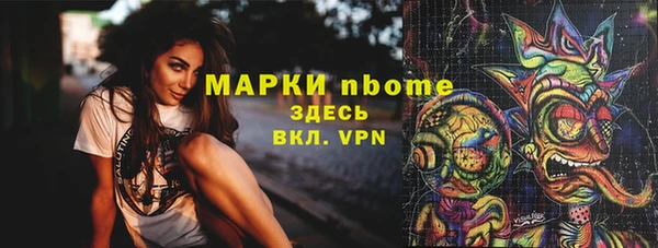 МДПВ Ельня