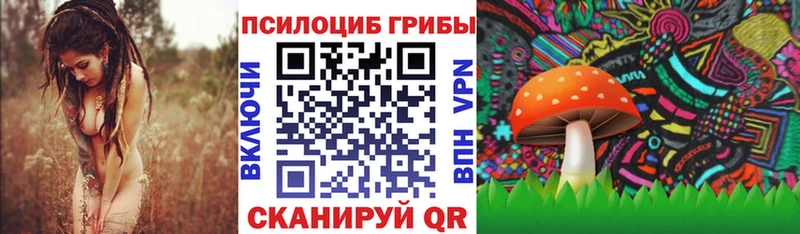 Псилоцибиновые грибы мицелий  площадка телеграм  Лысково 